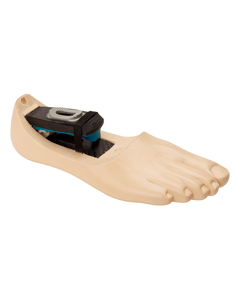 DR2 Endolite Catalogue Endolite India Prosthetic, Orthotic